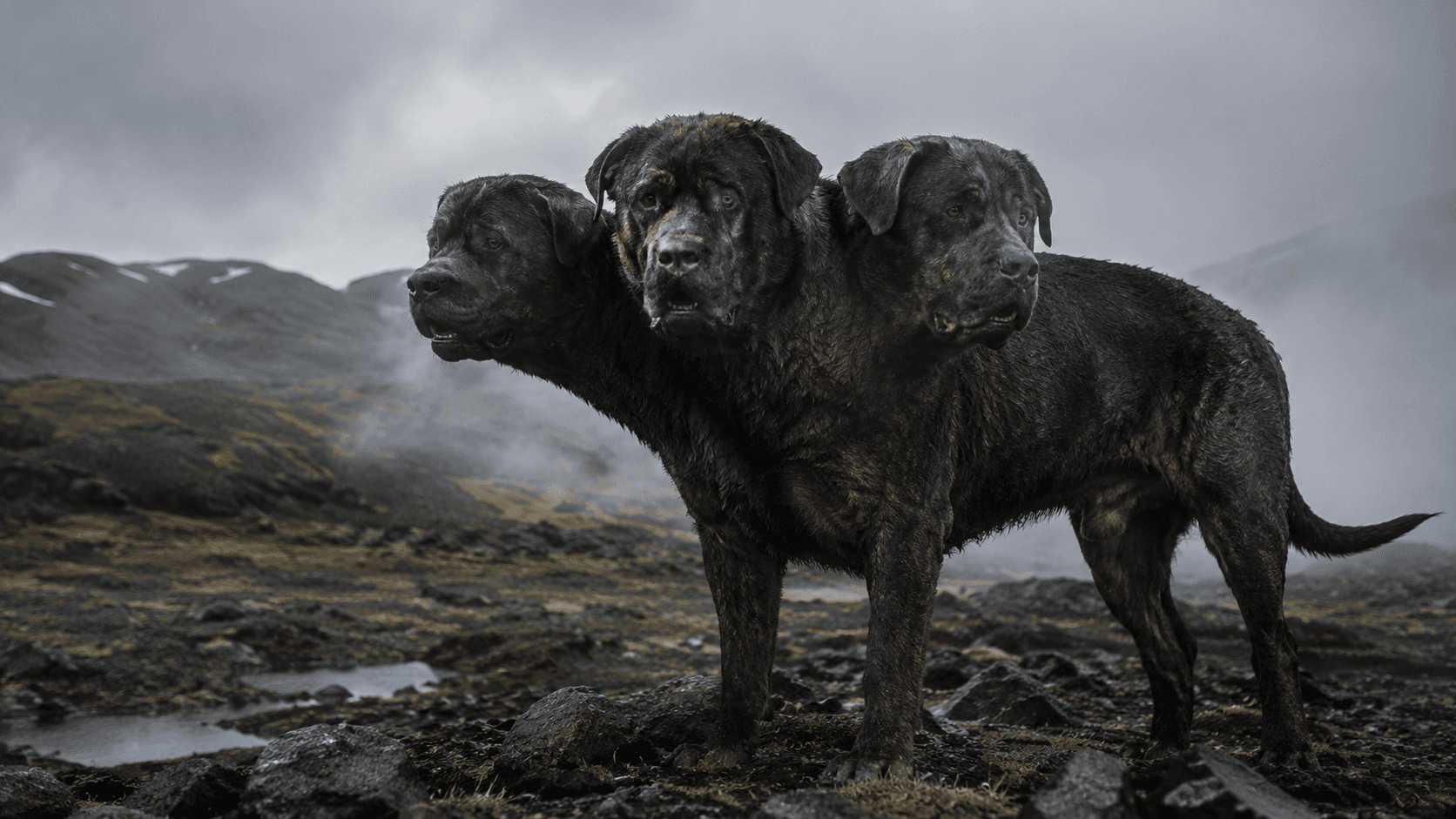Realistic Cerberus in a rocky misty landscape
