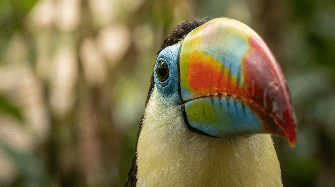 AI-generated Toucan image: Toucan Close Portrait. Birds. Central and South America.