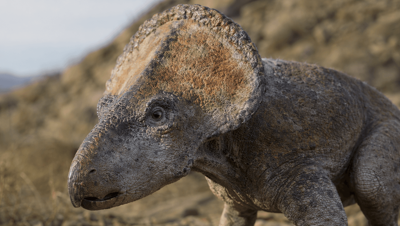 AI-generated Protoceratops image: Protoceratops Close-up Portrait. Dinosaurs. 75-71 Million Years Ago.